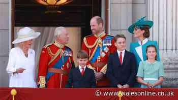 Lip reader spots Princess Kate's firm command to Prince Louis during Trooping
