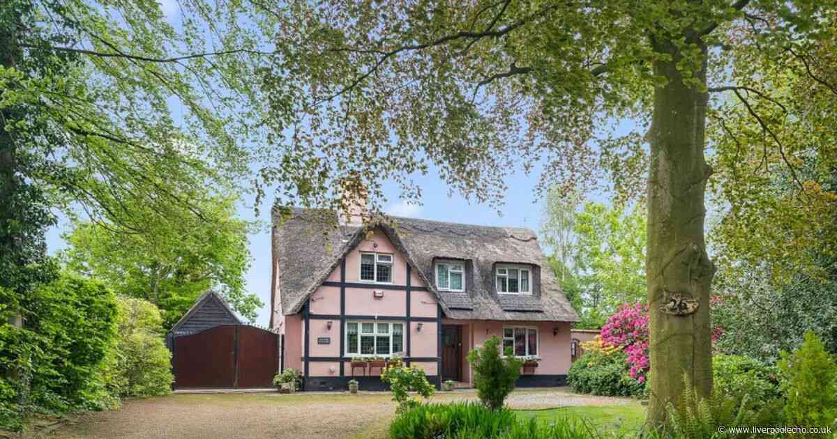 Pastel pink cottage with thatched roof up for sale in Hale Village