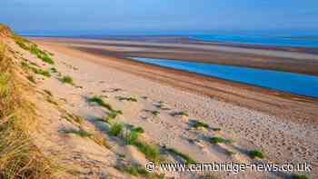 The hidden dog-friendly beach with almost no crowds just 2 hours from Cambridge