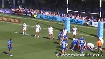 Bewildered Sam Warburton and Brian O'Driscoll in agreement as dramatic call backfires