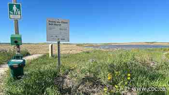 Protected wetland area in Shediac neighbourhood damaged again