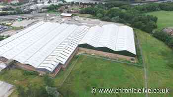 The pioneering Gateshead firm harnessing heat from disused coal mines
