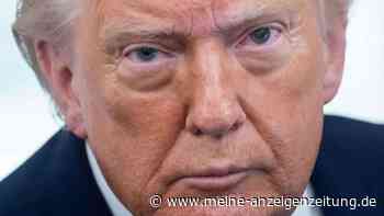 „Donald Corleone“: Neues Buch enthüllt, wie Trump Loyalität wie ein Mafia-Boss einfordert