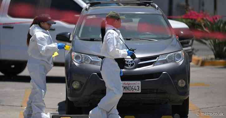 Investigation launched after body found near World Cup training centre