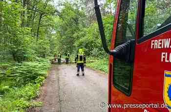 FW Flotwedel: Feuerwehren der Samtgemeinde Flotwedel an zwei Tagen bei technischen Hilfeleistungen im Einsatz