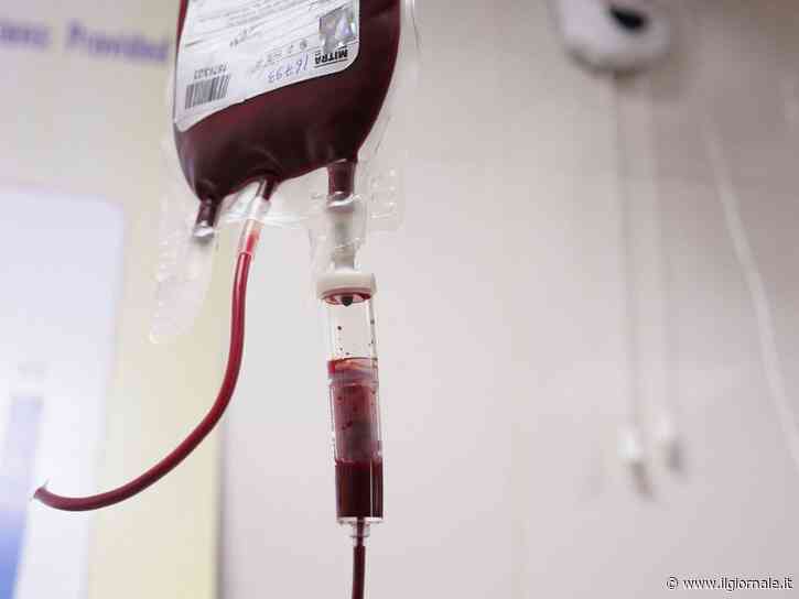 Giornata mondiale dei donatori di sangue: le bufale e le informazioni utili