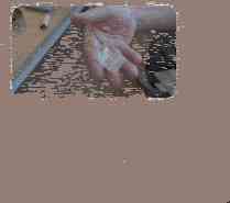 Drie dagen tussen de verslaafden in Domus Hirundo: ‘Kinderen misbruikt voor een stukje lego, dan snap je waarom iemand wil verdoven’