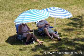 Temperatures set to soar next week as forecasters have say on heatwave