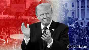 The Memo: Trump’s UFC fight night risks landing with a thud