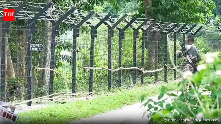'Historical mistakes': Himanta flags delay in India-Bangladesh border fencing, says Assam Accord provisions implemented only in 2025