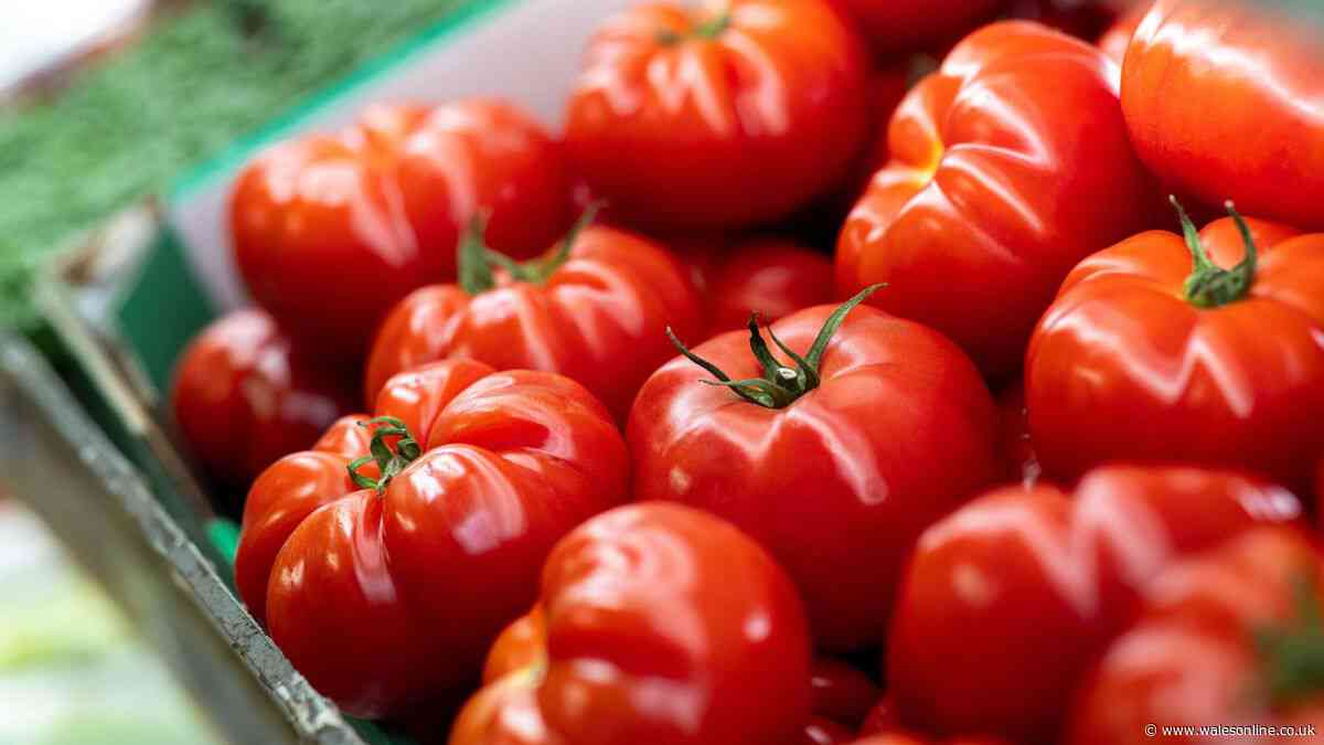 Keep tomatoes fresh for up to 2 weeks by storing them in specific place in the kitchen