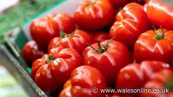 Keep tomatoes fresh for up to 2 weeks by storing them in specific place in the kitchen