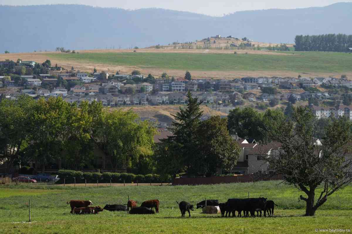 Communities report high demand for pilot offering permanent residency for rural jobs