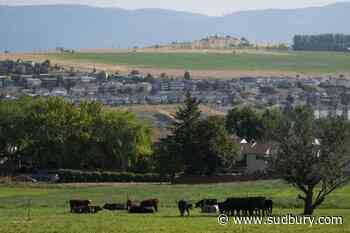 Communities report high demand for pilot offering permanent residency for rural jobs