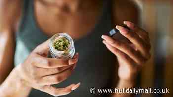 Medical cannabis use soars in Hull as hundreds of patients sign up for treatment