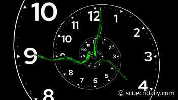 Scientists Discover a Biological Clock Unlike Anything Seen Before