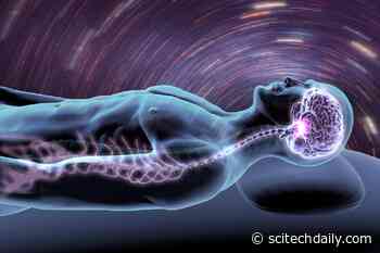 The Brain May Not Need Full Sleep To Recover, New Research Finds