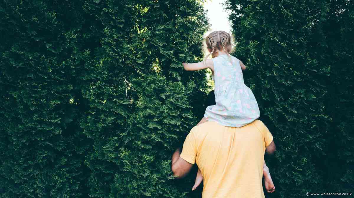 Eight free Father's Day gifts everyone can get in 2026