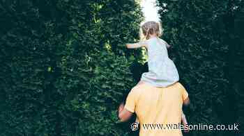 Eight free Father's Day gifts everyone can get in 2026