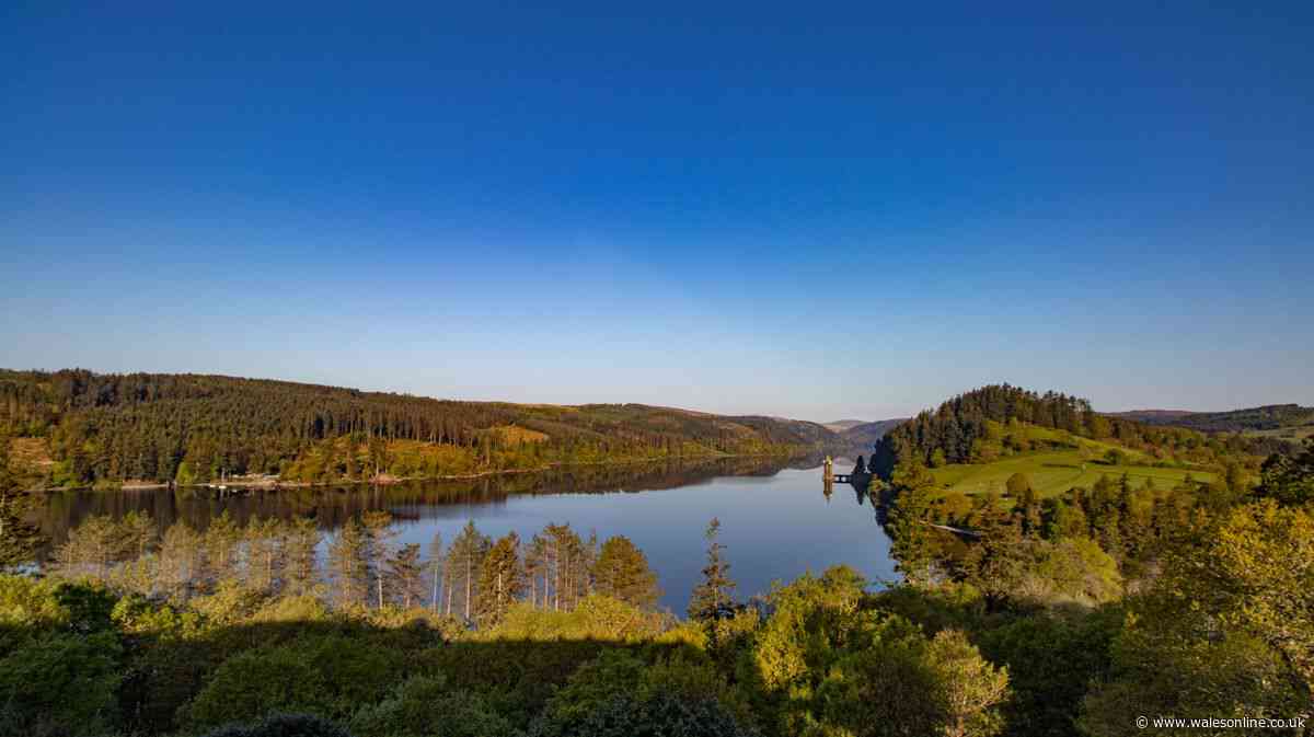 I found a scenic Welsh lake walk, and there was an unexpected bonus at the end