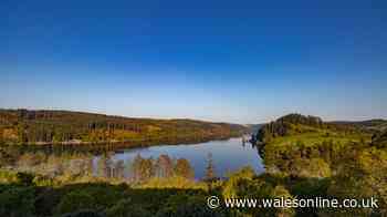 I found a scenic Welsh lake walk, and there was an unexpected bonus at the end