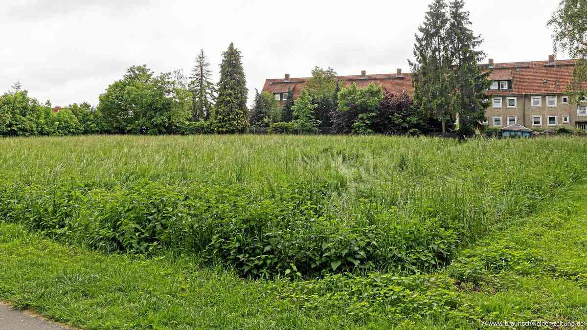 Plan für Salzgitters Nobel-Hotel platzt wie Seifenblasen: Das ist der Grund
