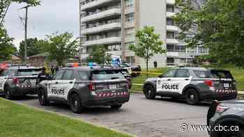 1 dead after being struck by vehicle, large fight in North York: police