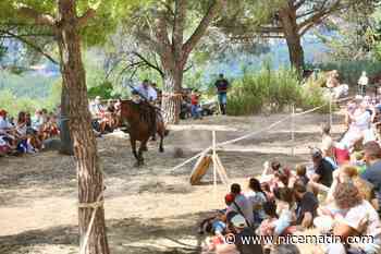 Tournoi de chevalerie, artisanat, spectacles… Le village du Castellet replonge au cœur du Moyen Âge jusqu’à ce dimanche soir