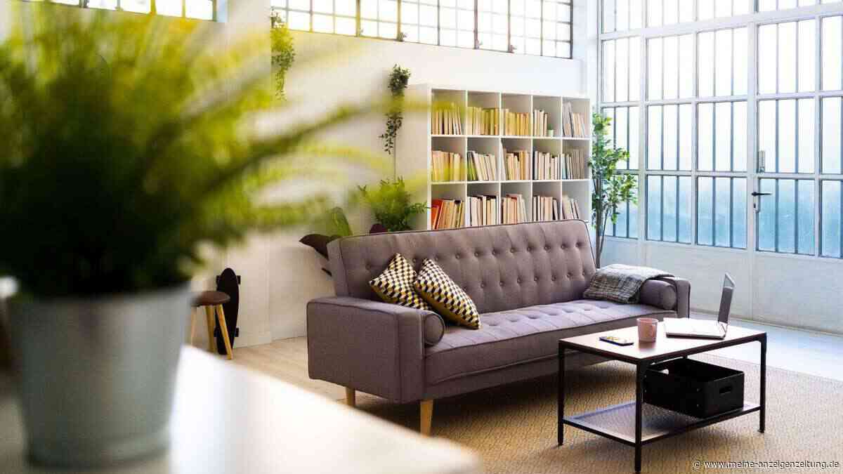 9 Dinge die bei hochintelligenten Menschen fast immer zu Hause zu finden sind