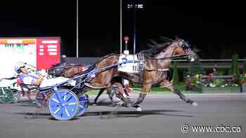MacDonald drives Odds On Mr Mamba to win in $1-million North America Cup