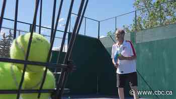 First pickleball, now padel: Why ‘social’ sports are growing in popularity