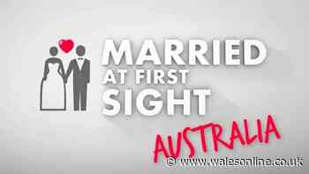 Married at First Sight cast say criminal histories of partners were kept from them