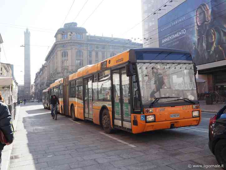 Il bus si ferma troppo avanti, il passeggero stacca l'orecchio a morsi all'autista