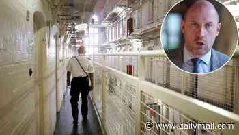 Justice Secretary Neil Gray claims only offenders who pose a 'risk' to public should go to jail