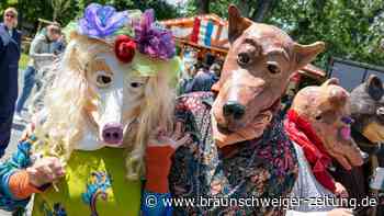 Tag der Niedersachsen in Braunschweig: Die 153 schönsten Bilder vom Abschlusstag