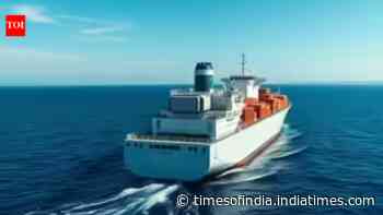 India restricts deployment of seafarers to conflict zones, Shipping authority issues fresh advisory