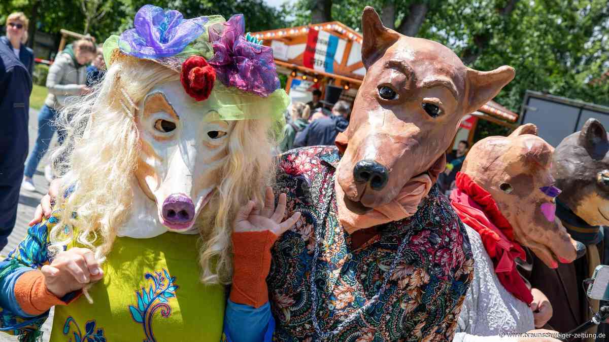 Tag der Niedersachsen in Braunschweig: Die 202 schönsten Bilder vom Abschlusstag