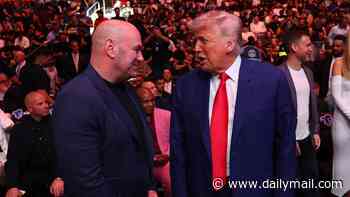 A birthday of diplomacy: Zelensky and Putin both speak with Trump on his 80th as US President says envoys Witkoff and Kushner will visit Russia 'soon'