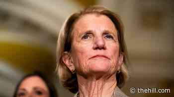 Senate Republican on FISA holdup: ‘Stop playing the politics’