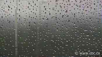 Severe thunderstorm warning for Niagara, Haldimand County, as heavy rain comes to Hamilton-Niagara area
