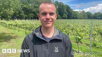 How the wine industry is helping youth employment