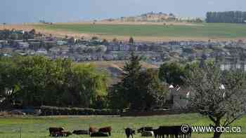 B.C. community reports high demand for rural permanent residency program