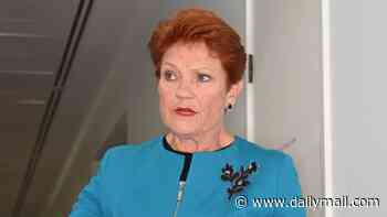 Labor responds to bombshell poll that shows Pauline Hanson is now Australia's preferred Prime Minister