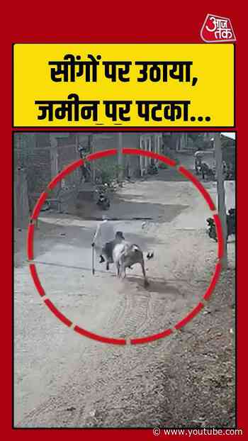 सींगों पर उठाया, जमीन पर पटका... #viralvideo #shortsvideo #bullattack #animalattack #ytshorts