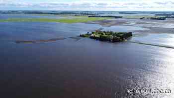'So many people in need': Interlake residents take stock of damage caused by heavy rains