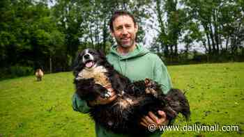 When animal rights go wrong: From rescuing racing snails to a sheepdog reported for rounding up sheep, the human interventions that lack any common sense