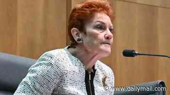 Pauline Hanson shatters taboo that has held her back her entire career: PETER VAN ONSELEN
