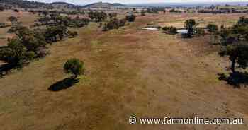 Quality livestock breeding, grazing property with upside for sale | Video