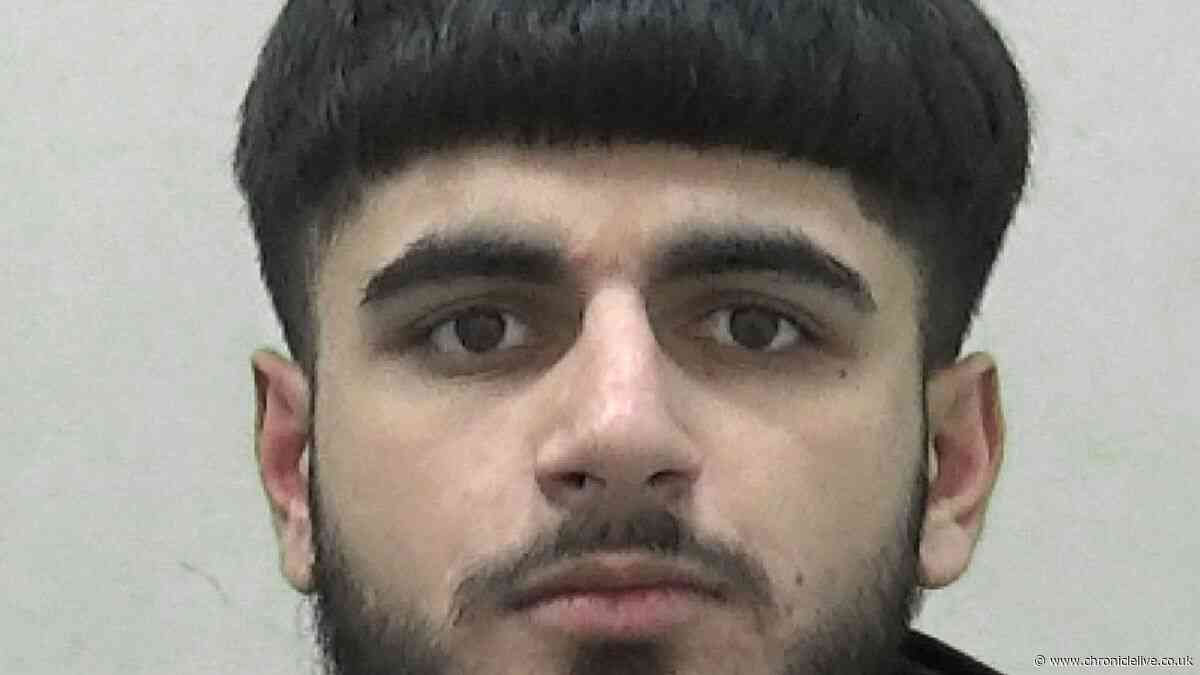 The busy Newcastle drug dealer with hundreds of followers and a kilo stash of cannabis