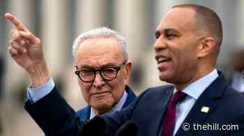 Democrats hold 5-point edge over GOP ahead of midterms: Poll